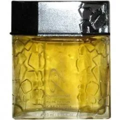 J. Casanova Plaisir pour Homme perfume bottle
