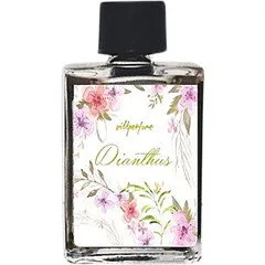 Wild Perfume Dianthus parfüm şişesi
