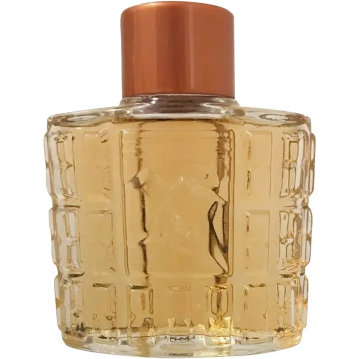 Avon Trailblazer (After Shave Lotion) parfüm şişesi