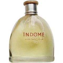 Coty Indome (After Shave Lotion) parfüm şişesi