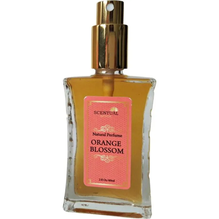 Scentual Aroma Orange Blossom (Eau de Parfum) parfüm şişesi