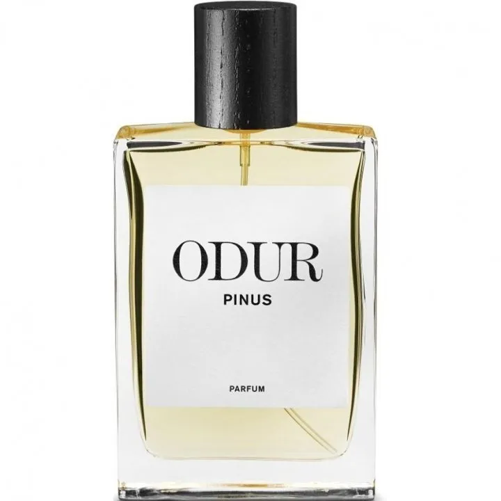 Odur Pinus parfüm şişesi