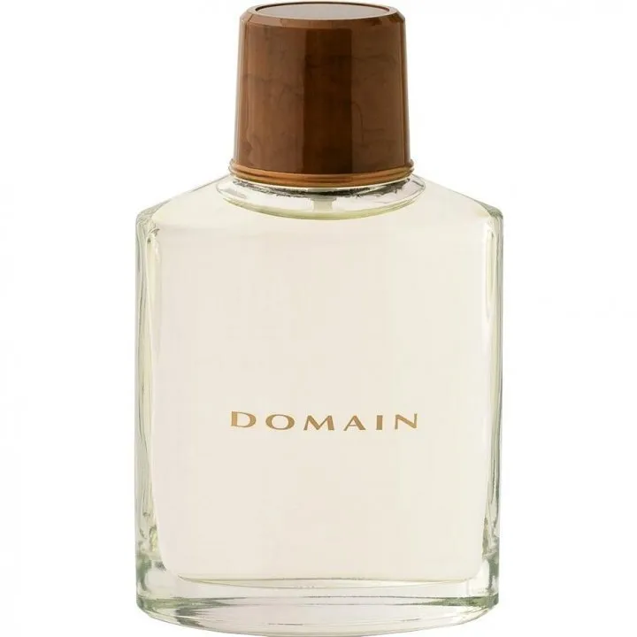 Mary Kay Domain perfume bottle