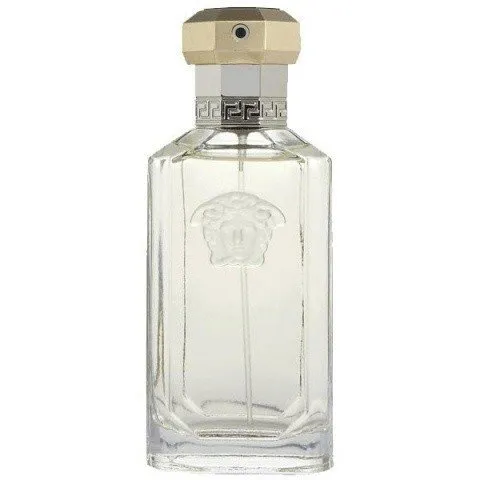 Versace The Dreamer (Eau de Toilette) parfüm şişesi